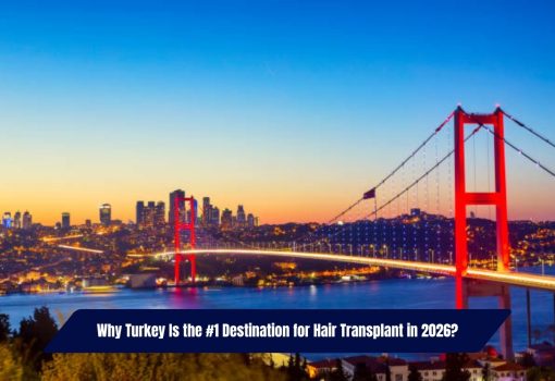 hair transplant in turkey istanbul bosphorus bridge